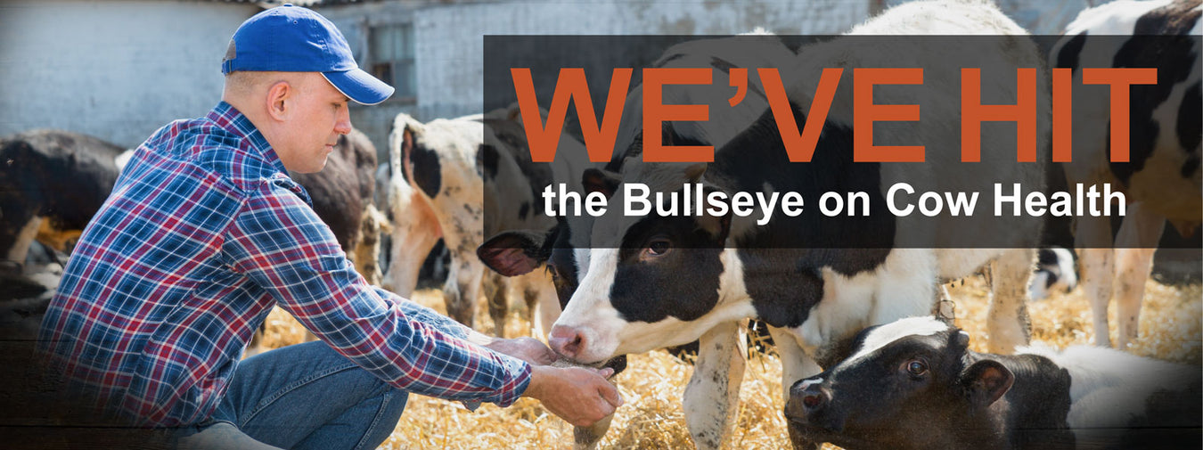 The Alltech Store - Pioneering Animal Nutrition Supplements