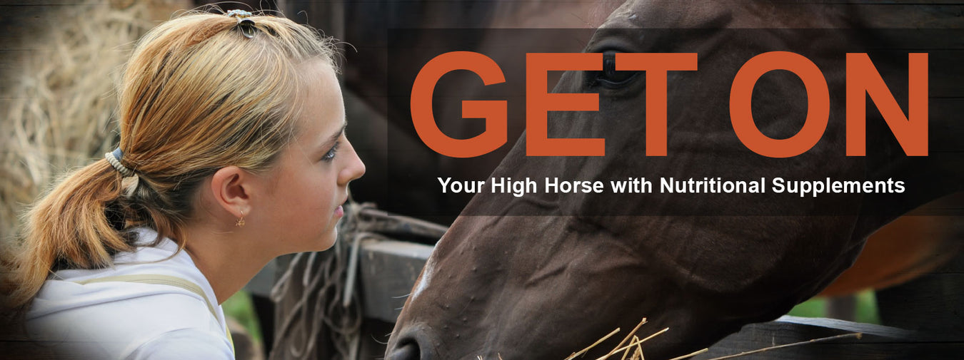 Equine Supplements and Horse Nutritional Technology