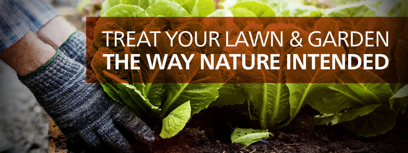 Natural Lawn and Garden Products for Healthy Plants
