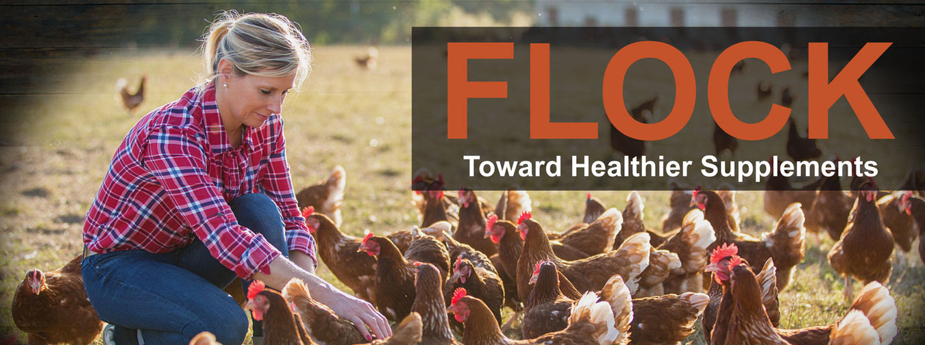 Poultry Health Supplements and Technologies