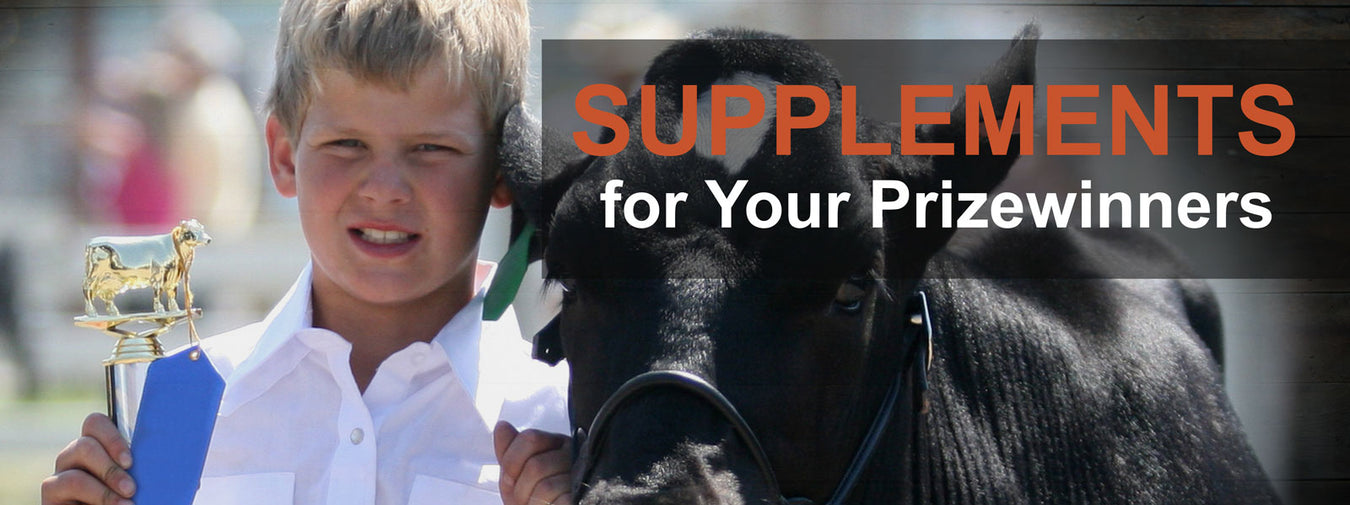 Show Animal Supplements