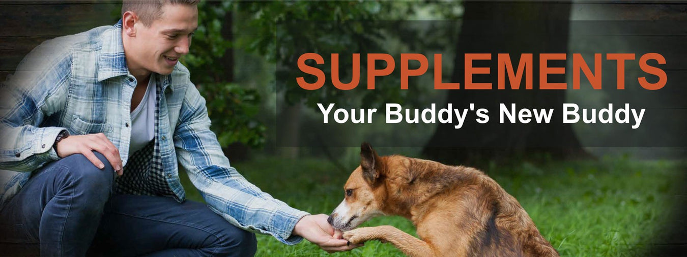 Pet Supplements and Nutrition Technologies