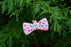 2025 Bow Tie Holiday Ornament