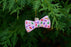 2025 Bow Tie Holiday Ornament