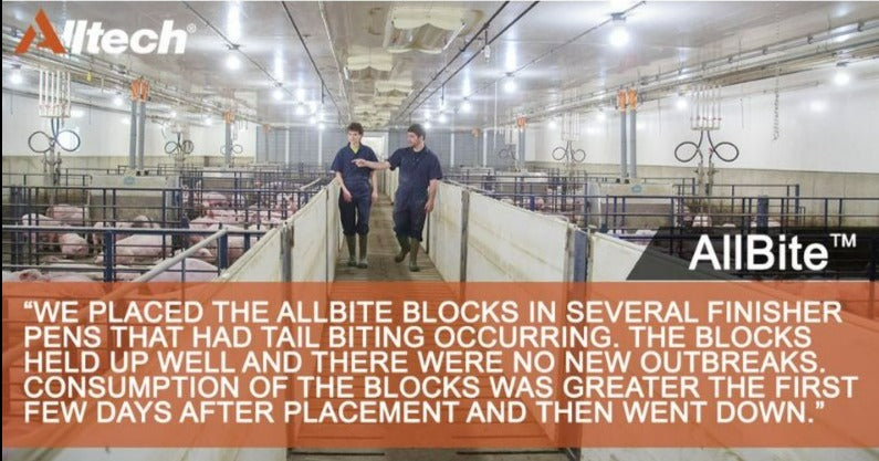 AllBite™ - Tail Biting Solution for Pigs.